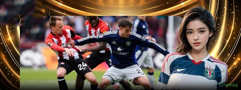 Privacidade lingdopg