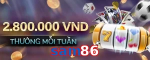 sam86